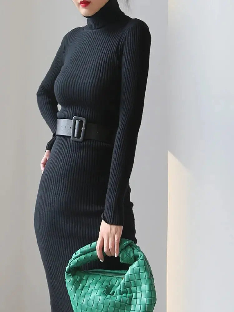 Knitted Turtleneck Sweater Bodycon Dress with Belt Ali Express