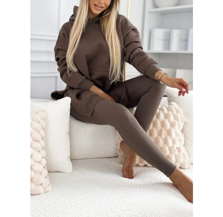 Hooded Sweatshirt and Pants Set